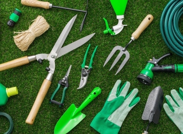 Cura del verde